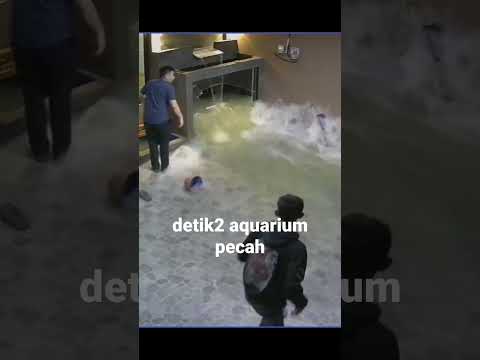 detik detik aquarium pecah