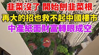 再大的招也救不起中國樓市！遍地零首付，韭菜沒了，開始刨韭菜根！有房中產紙面財富轉眼成空！地產已死，秘不發喪！