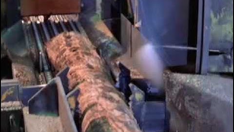 Machines, Operators and Guards: Real Accidents, Real Stories