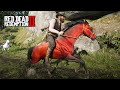 Domando o PURO SANGUE ÁRABE VERMELHO - O Domador de Cavalos - Red Dead Redemption 2