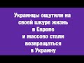 Беженцы с Украины ощутили реальность Европы￼