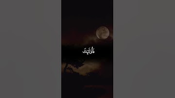 اكتب شيء تؤجر عليه 😴🩶 قران كريم | تلاوة هادئة وجميلة جدا