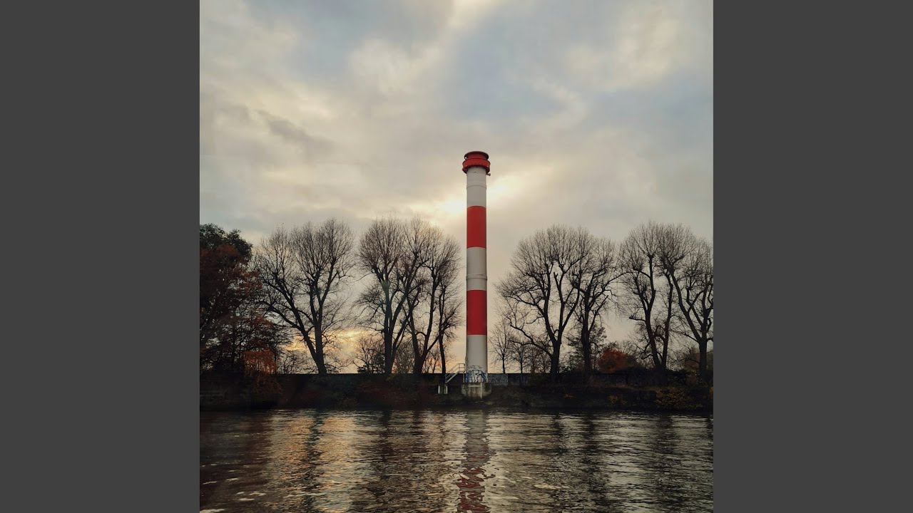 Wild Shadow auf YouTube ansehen Wild Shadow auf YouTube ansehen