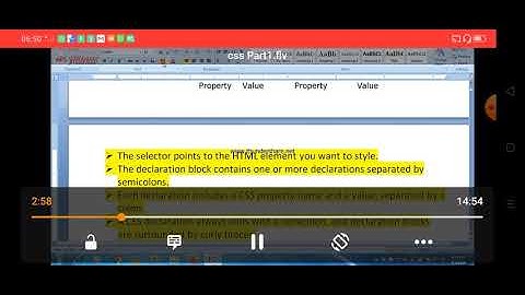 Class X Computer Application 04-09-2020 By Mr. Praveen Singh Ch- CSS Part -1