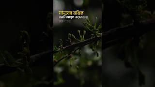 অজানা তথ্য: মানুষের মস্তিষ্ক... #knowledge #learning #history
