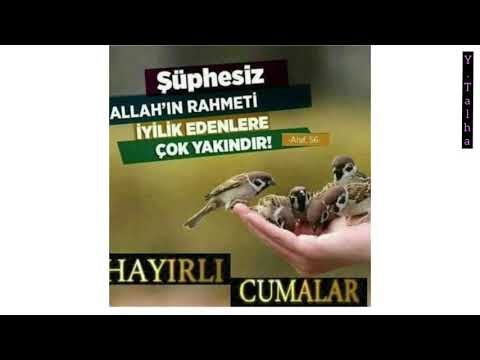 HAYIRLI CUMALAR | EN YENİ CUMA MESAJI | RESİMLİ,KISA,ANLAMLI,GÜZEL VE İLAHİLİ CUMA MESAJLARI | CUMA