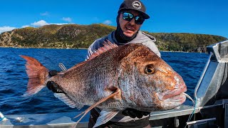Fish Of A Lifetime! Fishing NZ