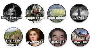 What's Really Happening in These Forests?