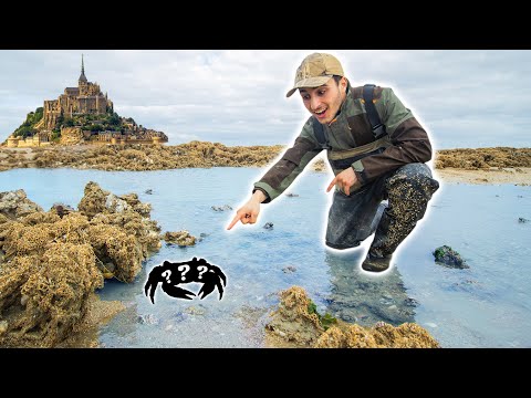 Vidéo: Peut-on attraper des crabes bleus sous la pluie ?