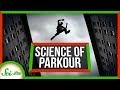 The Science of Parkour