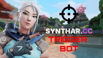 BEST VALORANT TRIGGER BOT FT SYNTHAR