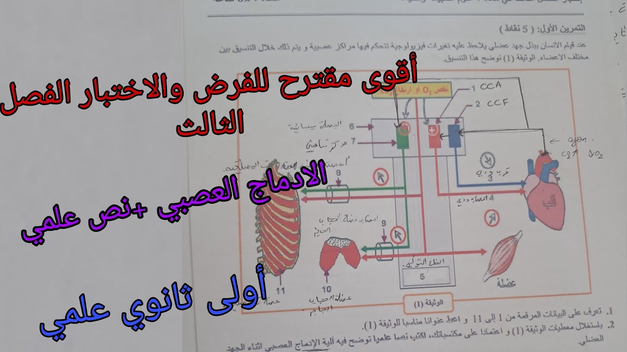 أقوى مقترح للفرض والاختبار الفصل الثالث في العلوم للسنة الأولى ثانوي علمي حول الادماج العصبي 2025