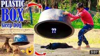 Wow !! Super Huge Plastic Box vs Sleeping Dogs Prank 2021