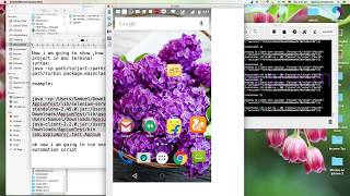 How to run java project in terminal with external?