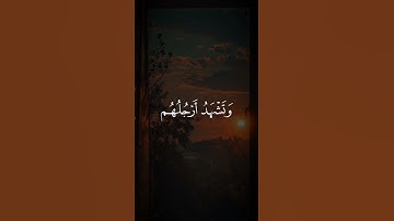 تلاوه من سورة يس|بصوت الشيخ يوسف الصقير🎧♥️#trending #quran #قران_كريم #راحة_نفسية #قرآن