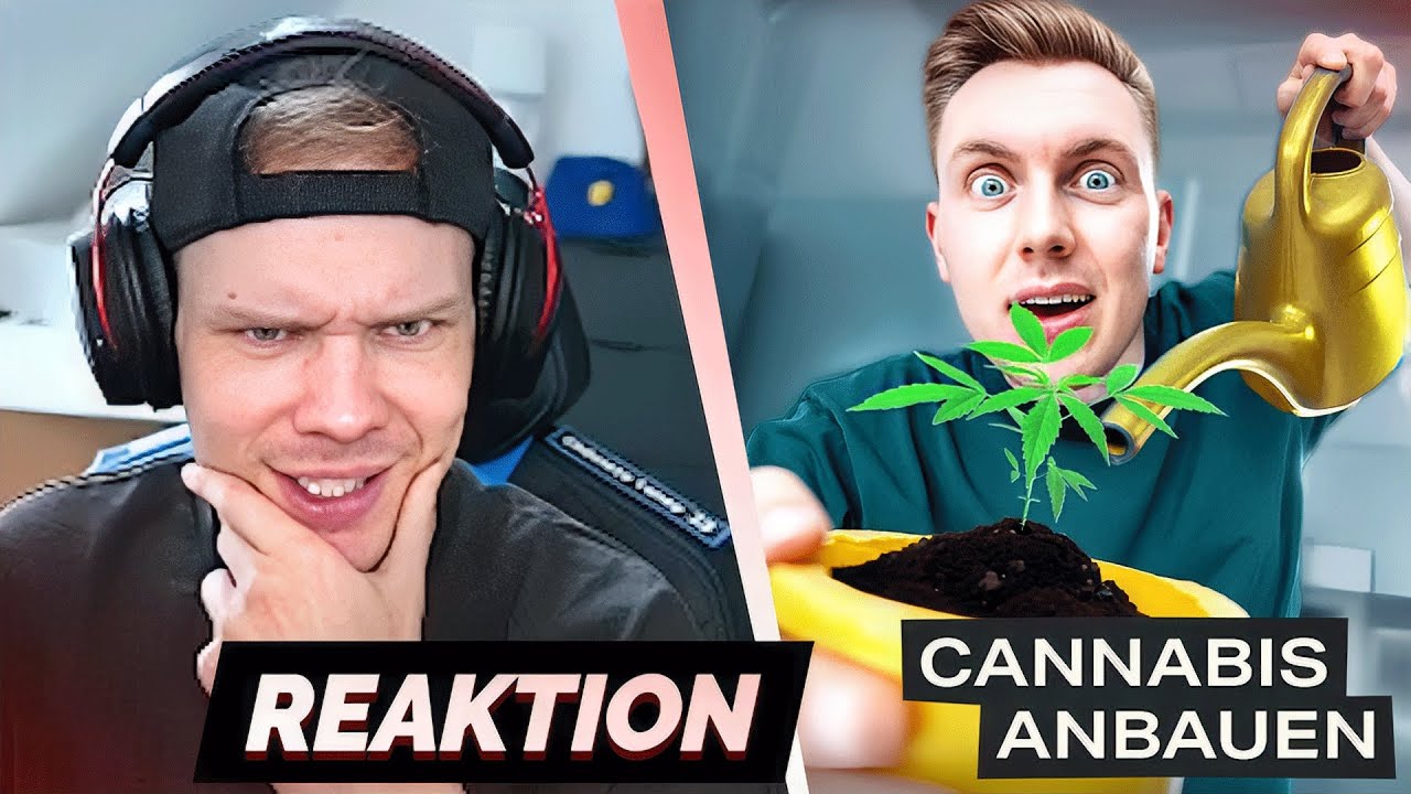 Diese Selbstexperimente waren zu krass! 😳 | Tomatolix Reaktion