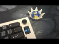 JWick Splash Brothers | Linear Switch Sound Test | Cidoo Alice Build