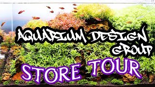 Walkthrough of Aquarium Design Group in Houston, Texas. I lost most of the coral footage - a bummer since they had some really 