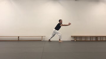 Bagua Zhang Hou Tian 1.3 // Dun Zhang