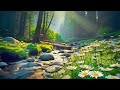 Healing Meditation Music for Emotional Balance &amp; Calm 💫 #HealingMusic