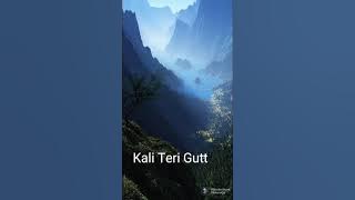 Kali Teri Gutt Remix by Bally $@GO