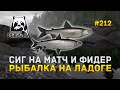 Сиг на Матч и Фидер. Рыбалка на Ладоге - Русская Рыбалка 4 #212