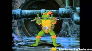 Teenage mutant ninja turtles (known as hero in europe due to
controversy at the time) is an american animated television series
produc...