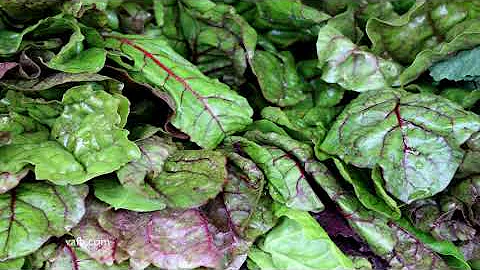 Field to Plate - Virginia cole crops
