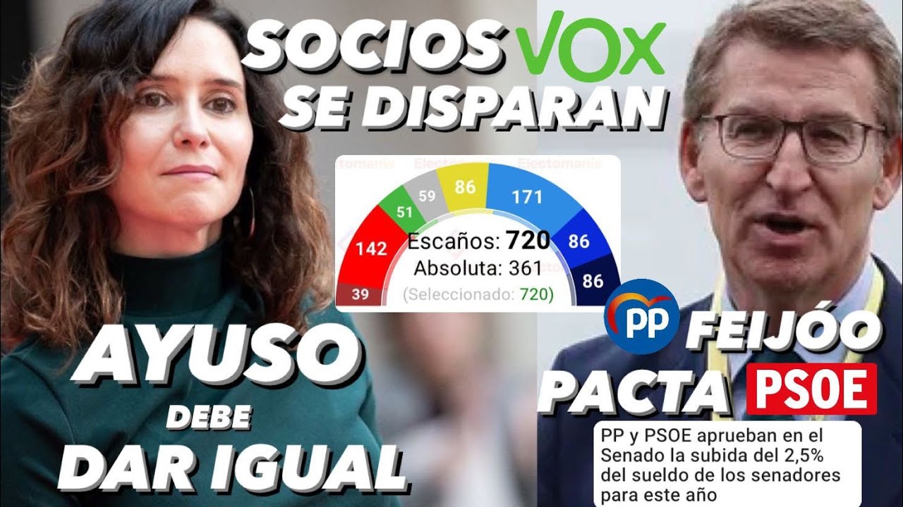¡VOX y sus SOCIOS SE DISPARAN EN EUROPA, EL PP de FEIJÓO PACTA con el ...