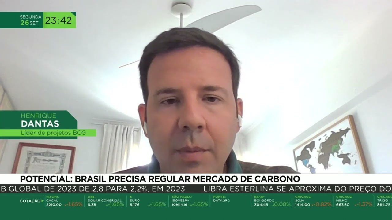 Potencial: Brasil precisa regular mercado de carbono