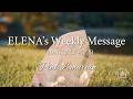 ELENA's Weekly Message 2026.3/23〜3/29 Pink Lemurian