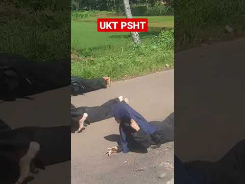 kerasnya UKT PSHT