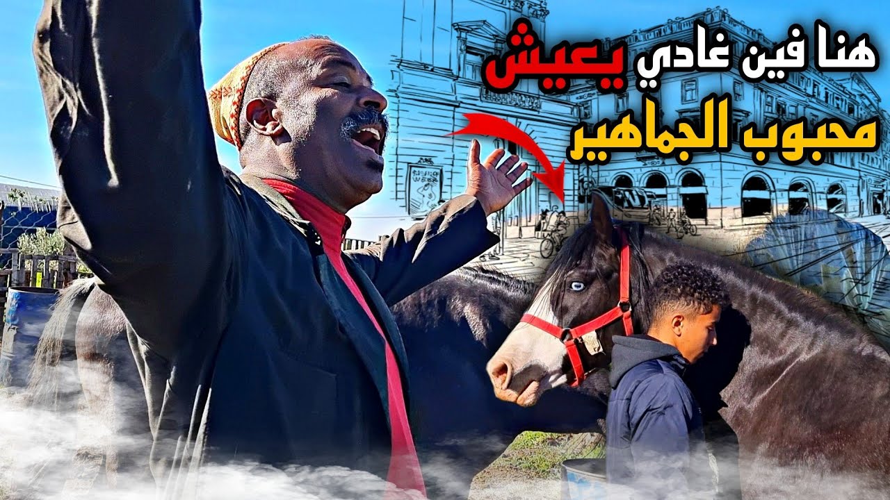 أخيرا هنا غادي يعيش أجمل 😍 حصان عندنا واش عجبكم الاسطبل ولا لا . سمعوا أشنوا قال بدريس على الوالدين😔