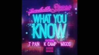 T-Pain ft. K Camp ft. Migos - What You Know [New 2014] (HQ)