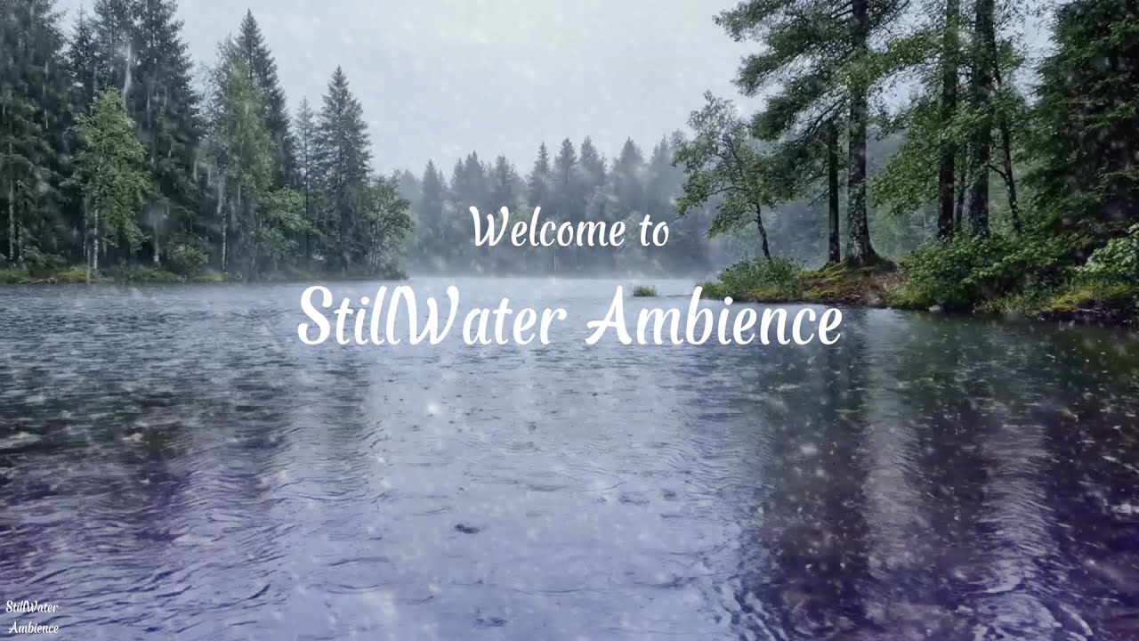 Rain on Forest Lake – Cinematic Relaxation Video