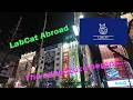 The adventure begins... EP01 | LabCat Abroad
