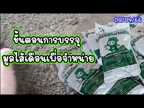 ขั้นตอนการบรรจุถุงมูลไส้เดือนเพื่อจำหน่าย (09/04/66) #เลี้ยงไส้เดือน #มูลไส้เดือน