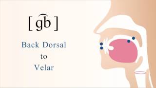 [ ɡ͡b ] voiced unaspirated labial coarticulated back dorsal velar stop