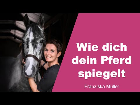 Wie dich dein Pferd spiegelt - Franziska Müller - 1