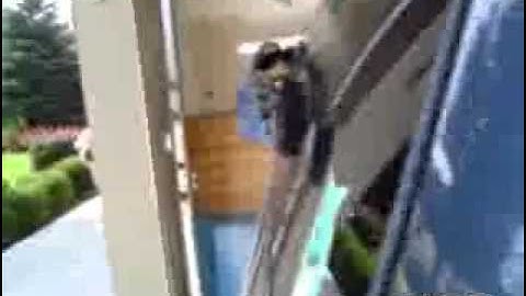 12vdb.com - car audio database: Various Ddflex.3