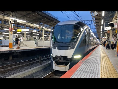 JR東日本 E261系 観光特急サフィール踊り子