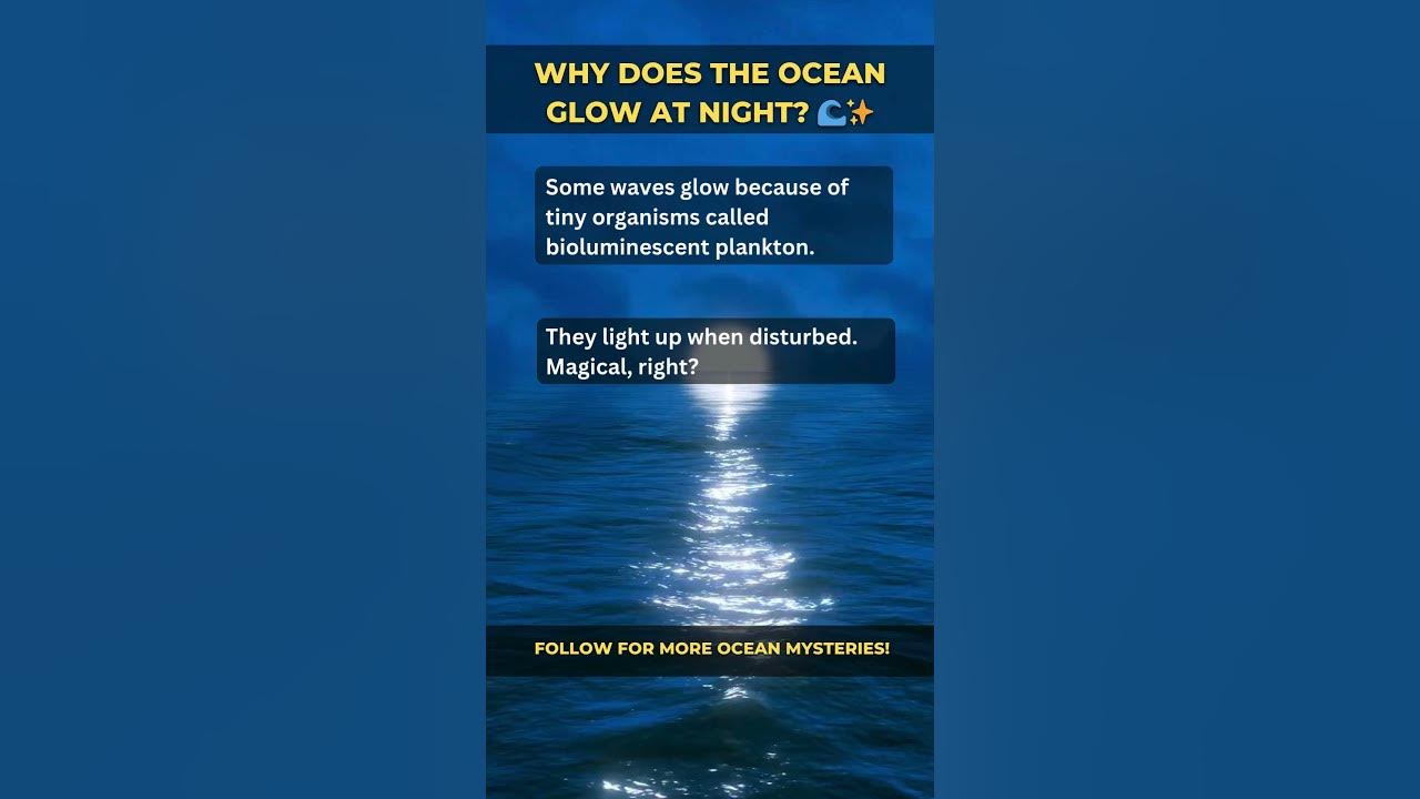 Why does the ocean glow at night youtube