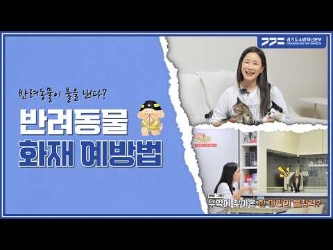 반려동물이 불을 낸다?! 🐶반려동물 화재 예방법 꼭 알아두세요!🐱