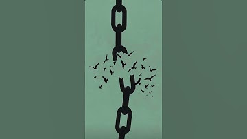 سورة فاطر ياسر الدوسري