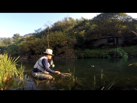 <strong>Fly</strong> fishing - Episode <strong>15</strong> - Carp <strong>Fly</strong> Fishing