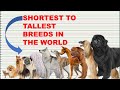 COMPARISON: DOG BREEDS HEIGHT AND WEIGHT