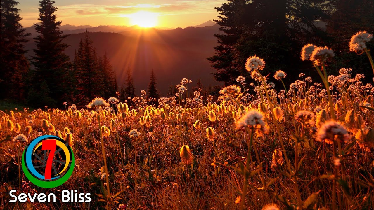 Ruben Hadland - Warm Winds (Extended Mix)