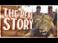 The REAL Story Behind Cecil the Lion