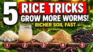 5 Hidden Rice Tricks That Grow More Worms & Richer Soil (Science-Backed Results)