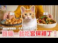 【好味小姐】跟貓一起吃宮保雞丁！｜貓副食｜好味貓廚房EP190
